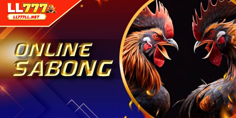 Advanced Betting Strategies