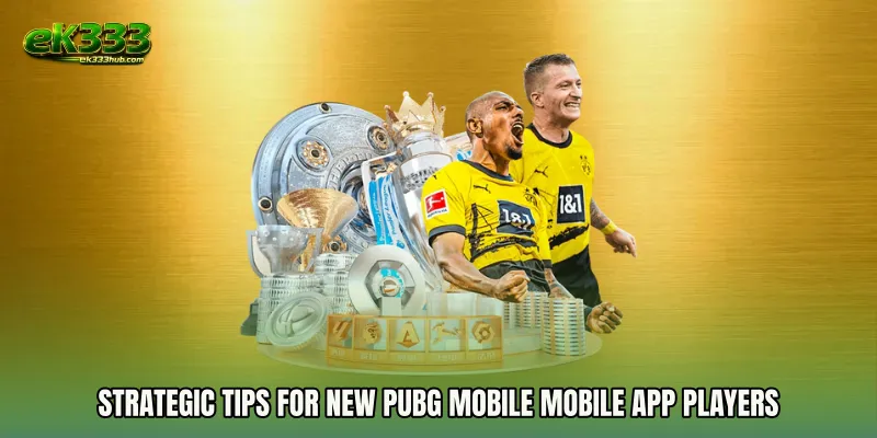 Strategic Tips for New PUBG Mobile mobile app Players